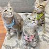 imageVoyager Escape Proof Cat Harness and Leash Set with Reflective Stitching Neoprene Handle 5ft  Supports Small Medium and Large Cats Kittens for Walking by Best Pet Supplies  Black TrimLime XSHarness Leash Set Pink