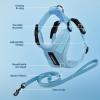 imageVoyager Escape Proof Cat Harness and Leash Set with Reflective Stitching Neoprene Handle 5ft  Supports Small Medium and Large Cats Kittens for Walking by Best Pet Supplies  Black TrimLime XSHarness Leash Set Baby Blue