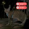 imageVoyager Escape Proof Cat Harness and Leash Set with Reflective Stitching Neoprene Handle 5ft  Supports Small Medium and Large Cats Kittens for Walking by Best Pet Supplies  Black TrimPink XSBlack TrimTurquoise 327