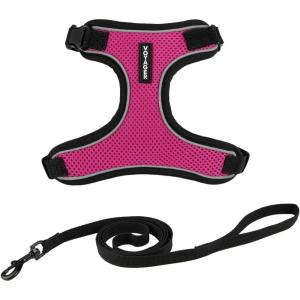 imageVoyager Escape Proof Cat Harness and Leash Set with Reflective Stitching Neoprene Handle 5ft  Supports Small Medium and Large Cats Kittens for Walking by Best Pet Supplies  Black TrimLime XSBlack TrimFuchsia 327