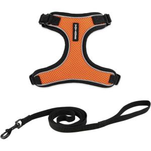 imageVoyager Escape Proof Cat Harness and Leash Set with Reflective Stitching Neoprene Handle 5ft  Supports Small Medium and Large Cats Kittens for Walking by Best Pet Supplies  Black TrimLime XSBlack TrimOrange 327