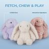 imageBest Pet Supplies Interactive Bunny Buddy Dog Toy with Crinkle and Squeaky Enrichment for Small and Medium Breed Puppies or Dogs Cute and Plush  Bunny Mauve Small