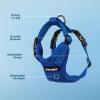 imageVoyager Escape Proof Cat Harness and Leash Set with Reflective Stitching Neoprene Handle 5ft  Supports Small Medium and Large Cats Kittens for Walking by Best Pet Supplies  Black XXSHarness Leash Set Royal Blue