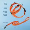 imageVoyager Escape Proof Cat Harness and Leash Set with Reflective Stitching Neoprene Handle 5ft  Supports Small Medium and Large Cats Kittens for Walking by Best Pet Supplies  Black XXSOrange 327
