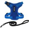 imageVoyager Escape Proof Cat Harness and Leash Set with Reflective Stitching Neoprene Handle 5ft  Supports Small Medium and Large Cats Kittens for Walking by Best Pet Supplies  Black XXSHarness Leash Set Royal Blue