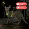 imageVoyager Escape Proof Cat Harness and Leash Set with Reflective Stitching Neoprene Handle 5ft  Supports Small Medium and Large Cats Kittens for Walking by Best Pet Supplies  Black XXSLime 327