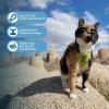 imageVoyager Escape Proof Cat Harness and Leash Set with Reflective Stitching Neoprene Handle 5ft  Supports Small Medium and Large Cats Kittens for Walking by Best Pet Supplies  Black XXSHarness Leash Set Lime Green