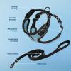 imageVoyager Escape Proof Cat Harness and Leash Set with Reflective Stitching Neoprene Handle 5ft  Supports Small Medium and Large Cats Kittens for Walking by Best Pet Supplies  Black XXSBlack TrimBaby Blue 327