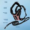 imageVoyager Escape Proof Cat Harness and Leash Set with Reflective Stitching Neoprene Handle 5ft  Supports Small Medium and Large Cats Kittens for Walking by Best Pet Supplies  Black XXSHarness Leash Set PinkBlack Trim