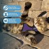 imageVoyager Escape Proof Cat Harness and Leash Set with Reflective Stitching Neoprene Handle 5ft  Supports Small Medium and Large Cats Kittens for Walking by Best Pet Supplies  Black XXSHarness Leash Set PurpleBlack Trim