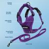 imageVoyager Escape Proof Cat Harness and Leash Set with Reflective Stitching Neoprene Handle 5ft  Supports Small Medium and Large Cats Kittens for Walking by Best Pet Supplies  Black XXSHarness Leash Set Purple