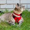 imageVoyager Escape Proof Cat Harness and Leash Set with Reflective Stitching Neoprene Handle 5ft  Supports Small Medium and Large Cats Kittens for Walking by Best Pet Supplies  Black XXSHarness Leash Set Red