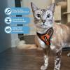 imageVoyager Escape Proof Cat Harness and Leash Set with Reflective Stitching Neoprene Handle 5ft  Supports Small Medium and Large Cats Kittens for Walking by Best Pet Supplies  Black XXSHarness Leash Set OrangeBlack Trim