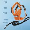 imageVoyager Escape Proof Cat Harness and Leash Set with Reflective Stitching Neoprene Handle 5ft  Supports Small Medium and Large Cats Kittens for Walking by Best Pet Supplies  Black XXSHarness Leash Set Orange