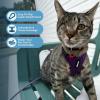 imageVoyager Escape Proof Cat Harness and Leash Set with Reflective Stitching Neoprene Handle 5ft  Supports Small Medium and Large Cats Kittens for Walking by Best Pet Supplies  Black XXSHarness Leash Set Purple