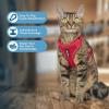 imageVoyager Escape Proof Cat Harness and Leash Set with Reflective Stitching Neoprene Handle 5ft  Supports Small Medium and Large Cats Kittens for Walking by Best Pet Supplies  Black XXSRed 327