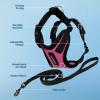 imageVoyager Escape Proof Cat Harness and Leash Set with Reflective Stitching Neoprene Handle 5ft  Supports Small Medium and Large Cats Kittens for Walking by Best Pet Supplies  Black XXSHarness Leash Set FuchsiaBlack Trim