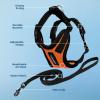 imageVoyager Escape Proof Cat Harness and Leash Set with Reflective Stitching Neoprene Handle 5ft  Supports Small Medium and Large Cats Kittens for Walking by Best Pet Supplies  Black XXSHarness Leash Set OrangeBlack Trim