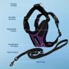 imageVoyager Escape Proof Cat Harness and Leash Set with Reflective Stitching Neoprene Handle 5ft  Supports Small Medium and Large Cats Kittens for Walking by Best Pet Supplies  Black XXSHarness Leash Set PurpleBlack Trim
