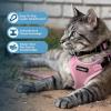 imageVoyager Escape Proof Cat Harness and Leash Set with Reflective Stitching Neoprene Handle 5ft  Supports Small Medium and Large Cats Kittens for Walking by Best Pet Supplies  Black XXSHarness Leash Set Pink