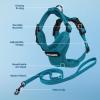 imageVoyager Escape Proof Cat Harness and Leash Set with Reflective Stitching Neoprene Handle 5ft  Supports Small Medium and Large Cats Kittens for Walking by Best Pet Supplies  Black XXSHarness Leash Set Turquoise