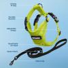 imageVoyager Escape Proof Cat Harness and Leash Set with Reflective Stitching Neoprene Handle 5ft  Supports Small Medium and Large Cats Kittens for Walking by Best Pet Supplies  Black XXSHarness Leash Set Lime Green