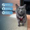 imageVoyager Stepin Lock Adjustable Cat Harness w Cat Leash Combo Set with Neoprene Handle 5ft  Supports Small Medium and Large Breed Cats by Best Pet Supplies  Red XSHarness Leash Set RedBlack Trim