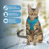 imageVoyager Stepin Lock Adjustable Cat Harness w Cat Leash Combo Set with Neoprene Handle 5ft  Supports Small Medium and Large Breed Cats by Best Pet Supplies  Red XSTurquoise 327