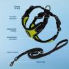 imageVoyager Stepin Lock Adjustable Cat Harness w Cat Leash Combo Set with Neoprene Handle 5ft  Supports Small Medium and Large Breed Cats by Best Pet Supplies  Red XSBlack TrimLime 327
