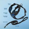 imageVoyager Stepin Lock Adjustable Cat Harness w Cat Leash Combo Set with Neoprene Handle 5ft  Supports Small Medium and Large Breed Cats by Best Pet Supplies  Red XSBlack TrimRoyal Blue 327