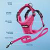 imageVoyager Stepin Lock Adjustable Cat Harness w Cat Leash Combo Set with Neoprene Handle 5ft  Supports Small Medium and Large Breed Cats by Best Pet Supplies  Red XSHarness Leash Set Fuchsia