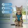 imageVoyager Stepin Lock Adjustable Cat Harness w Cat Leash Combo Set with Neoprene Handle 5ft  Supports Small Medium and Large Breed Cats by Best Pet Supplies  Red XSBlack TrimTurquoise 327