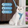imageVoyager Stepin Lock Adjustable Cat Harness w Cat Leash Combo Set with Neoprene Handle 5ft  Supports Small Medium and Large Breed Cats by Best Pet Supplies  Red XSHarness Leash Set Baby Blue