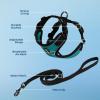 imageVoyager Stepin Lock Adjustable Cat Harness w Cat Leash Combo Set with Neoprene Handle 5ft  Supports Small Medium and Large Breed Cats by Best Pet Supplies  Red XSBlack TrimTurquoise 327