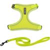 Lime (327)