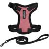 Harness Leash Set (Pink/Black Trim)