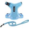 Harness Leash Set (Baby Blue)