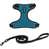 Black Trim-Turquoise (327)