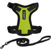 Harness Leash Set (Lime Green/Black Trim)