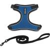 Black Trim-Royal Blue (327)