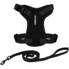Harness Leash Set (Black)