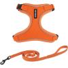 Orange (327)