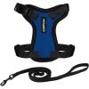 Harness Leash Set (Royal Blue/Black Trim)