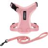 Harness Leash Set (Pink)