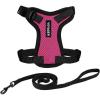 Harness Leash Set (Fuchsia/Black Trim)
