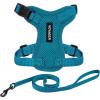 Harness Leash Set (Turquoise)