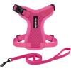 Harness Leash Set (Fuchsia)