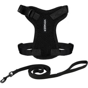 imageVoyager Escape Proof Cat Harness and Leash Set with Reflective Stitching Neoprene Handle 5ft  Supports Small Medium and Large Cats Kittens for Walking by Best Pet Supplies  Black XXSHarness Leash Set Black