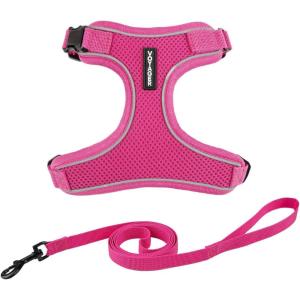 imageVoyager Escape Proof Cat Harness and Leash Set with Reflective Stitching Neoprene Handle 5ft  Supports Small Medium and Large Cats Kittens for Walking by Best Pet Supplies  Black XXSFuchsia 327
