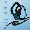 imageVoyager Stepin Lock Pet Harness  All Weather Mesh Adjustable Step in Harness for Cats by Best Pet Supplies  Pink XXSHarness Leash Set TurquoiseBlack Trim